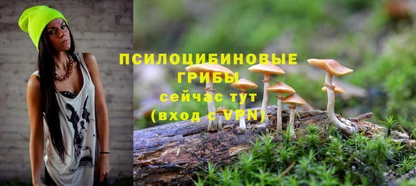 не бодяженный Алзамай