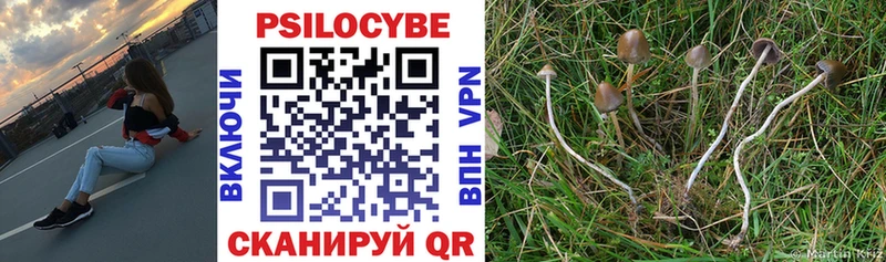Купить где Сосновоборск Галлюциногенные грибы Psilocybine cubensis